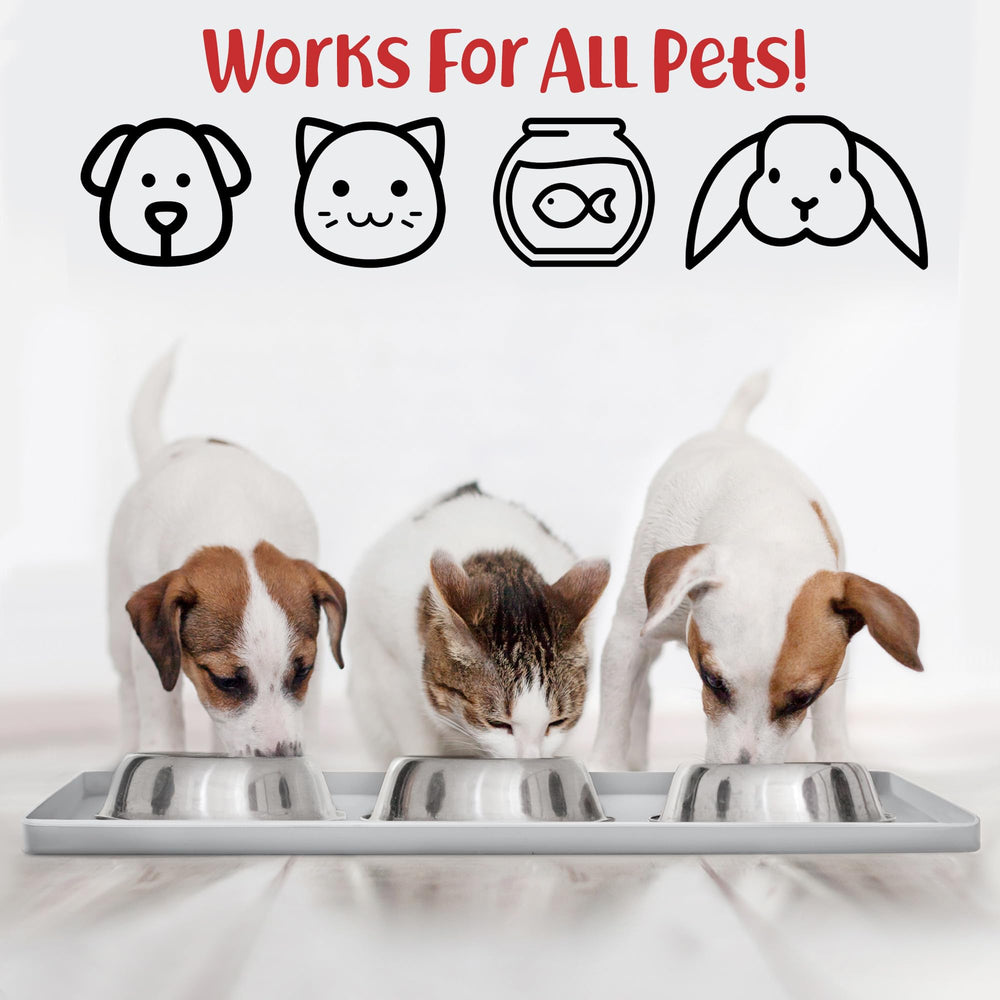 DogBuddy superficie lisa facilita limpieza y desinfección rápida.