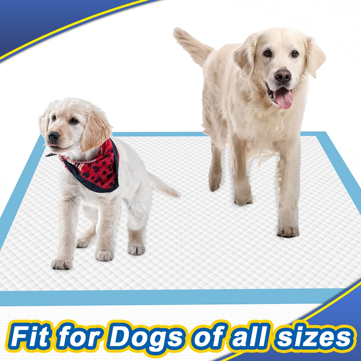 Dogcator material premium para mayor durabilidad