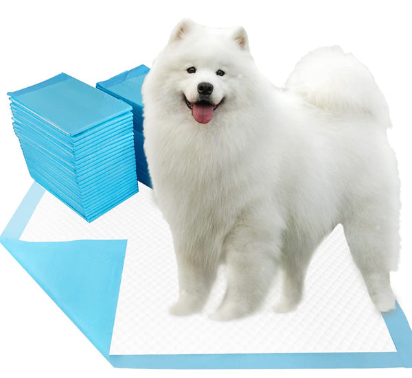 Dogcator almohadillas extragrande 30x36: absorción amplia para entrenamiento cómodo.