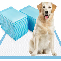 Dogcator almohadilla extragrande 28x34 cm para entrenamiento en interiores