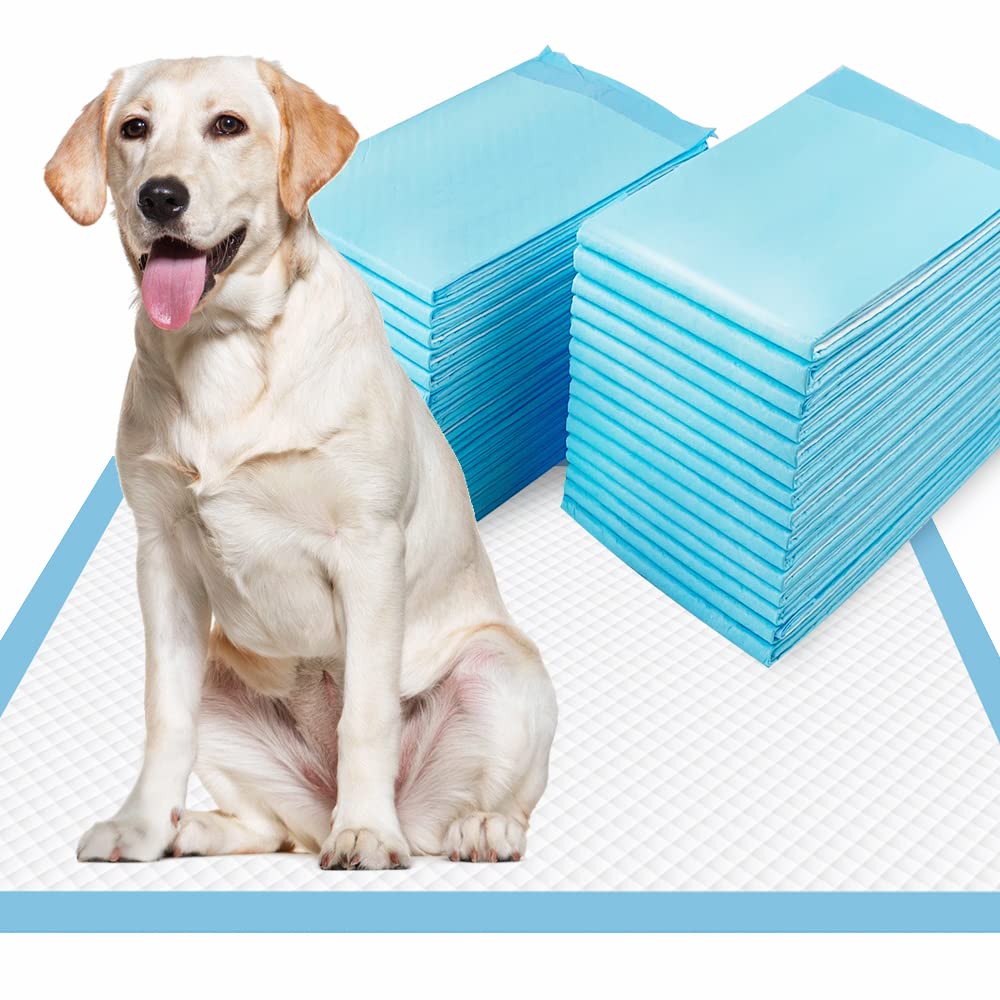 Dogcator XL almohadillas absorbentes para cachorros con gran capacidad de absorción.