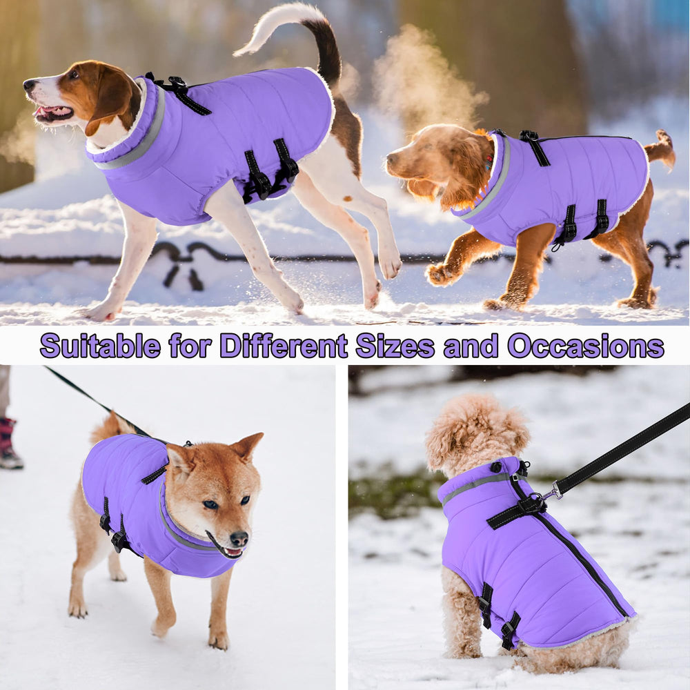 Dogcheer abrigo con arnés Taro Purple ajustes traseros, adaptado a varias tallas