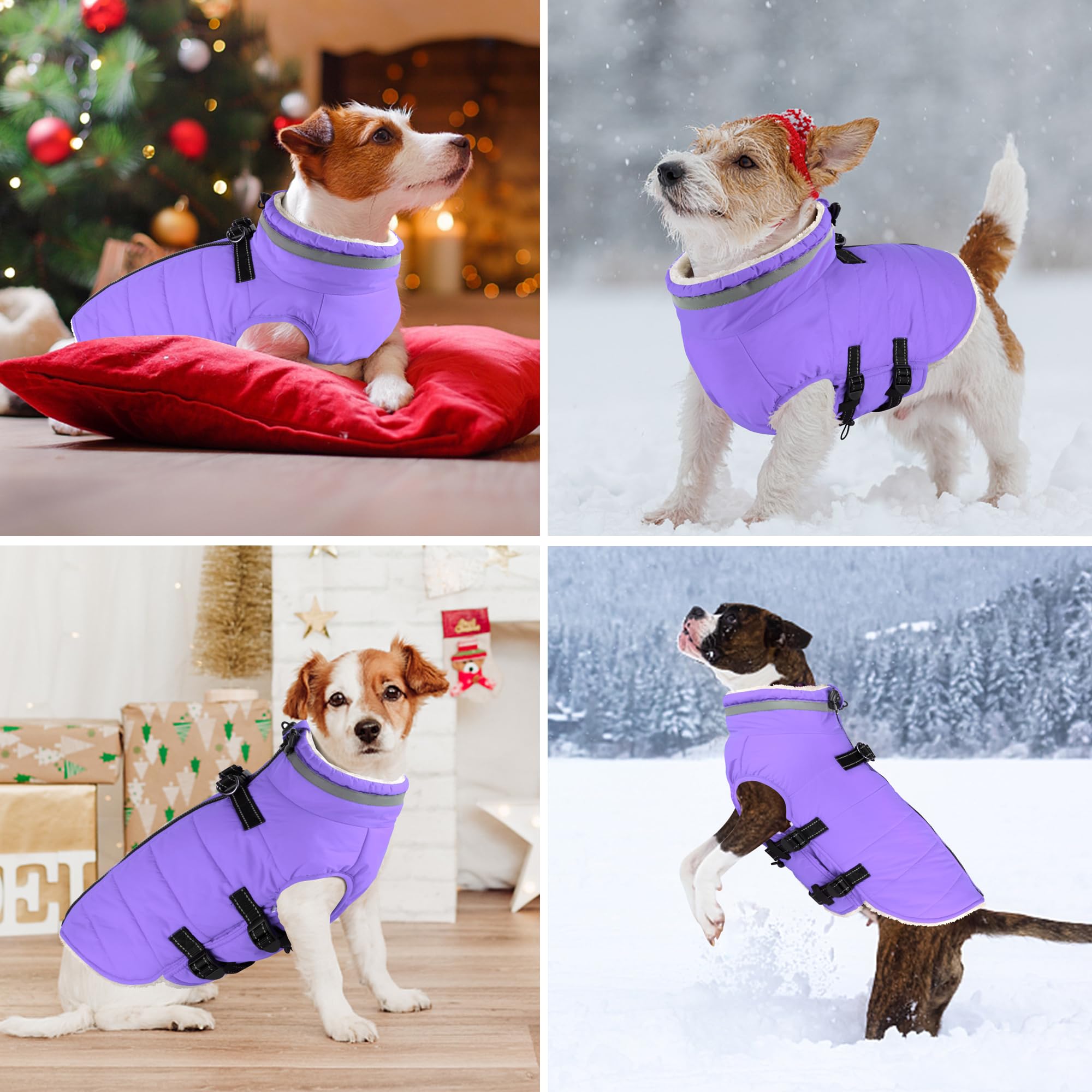 Dogcheer abrigo con arnés Taro Purple cuello tortuga, mantiene cuello y orejas calientes