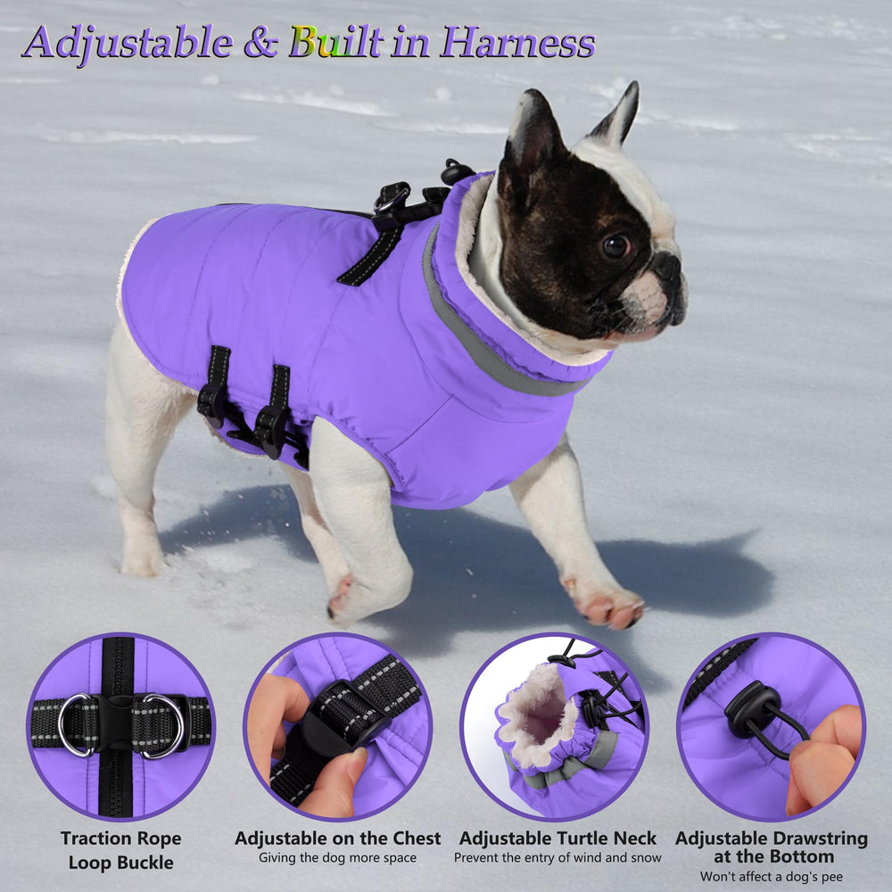 Dogcheer abrigo con arnés Taro Purple espalda, combinación chaqueta y arnés para uso diario