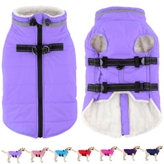 Dogcheer abrigo con arnés Taro Purple frente, cálido y protector para paseos invernales