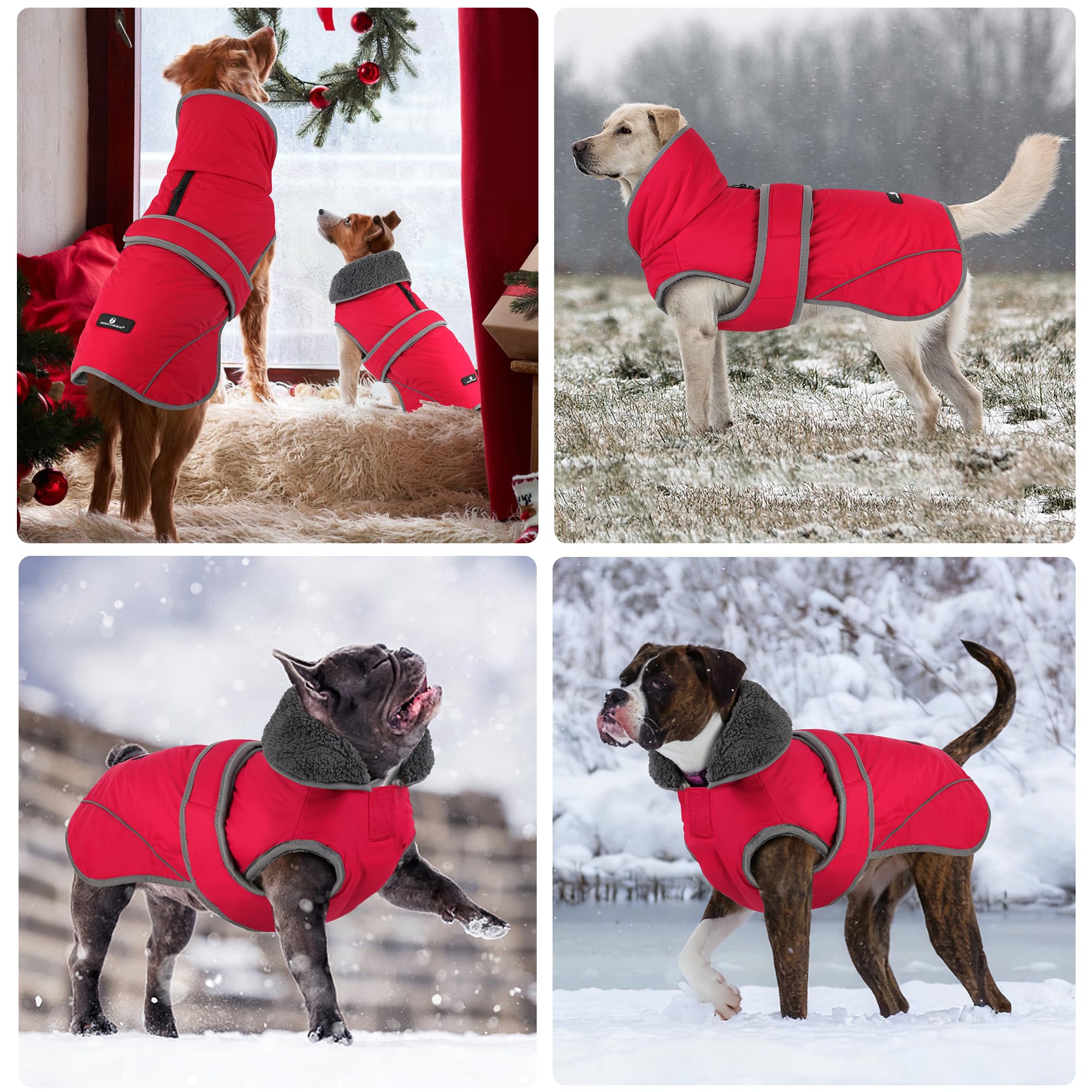 Ajuste para perros pequeños a grandes; ideal para uso diario y paseos.
