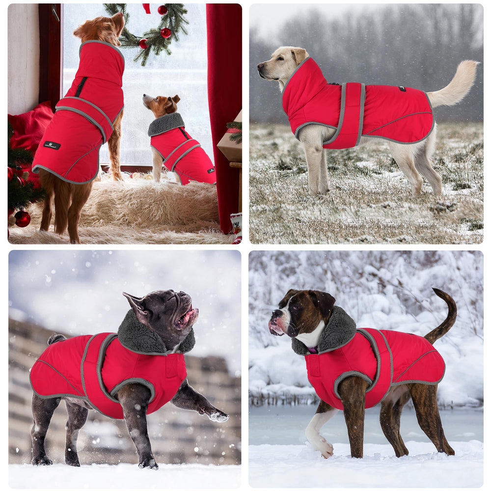 Ajuste para perros pequeños a grandes; ideal para uso diario y paseos.