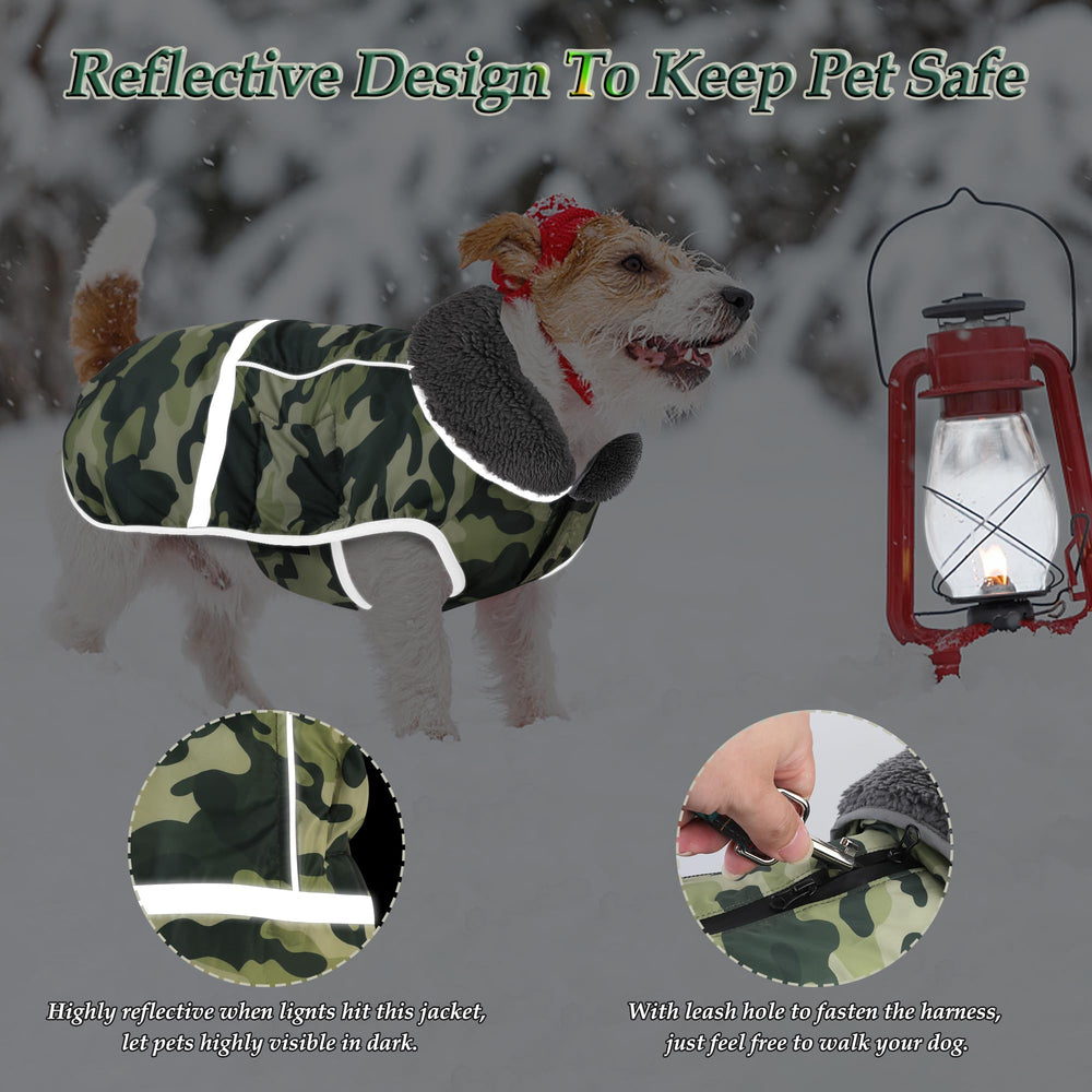Dogcheer bandas reflectantes para mayor visibilidad nocturna y seguridad.
