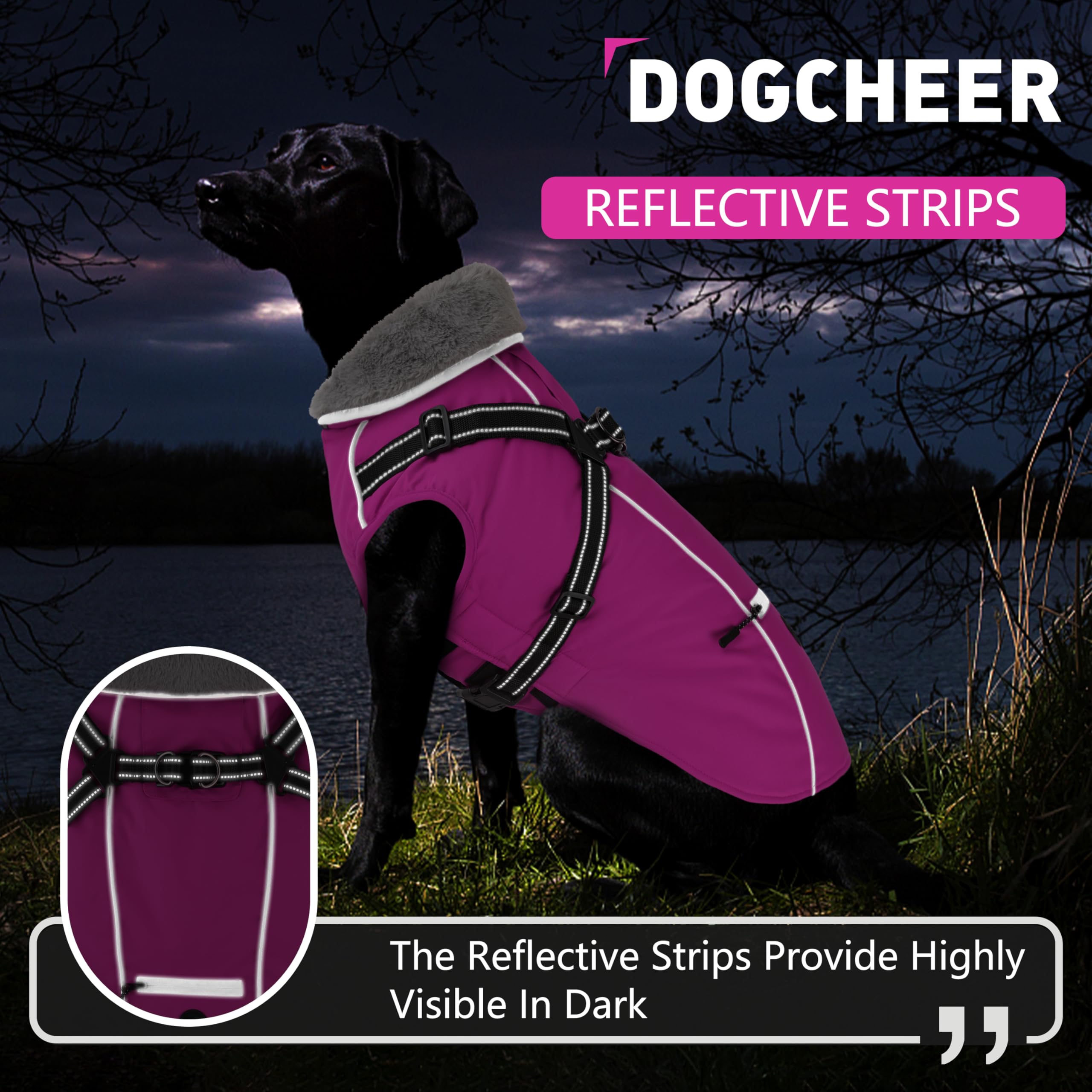 Dogcheer capa con bolsillo práctico, lleva bolsas y llaves