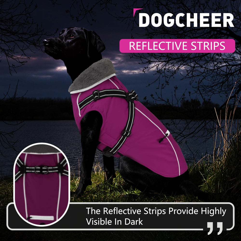 Dogcheer capa con bolsillo práctico, lleva bolsas y llaves
