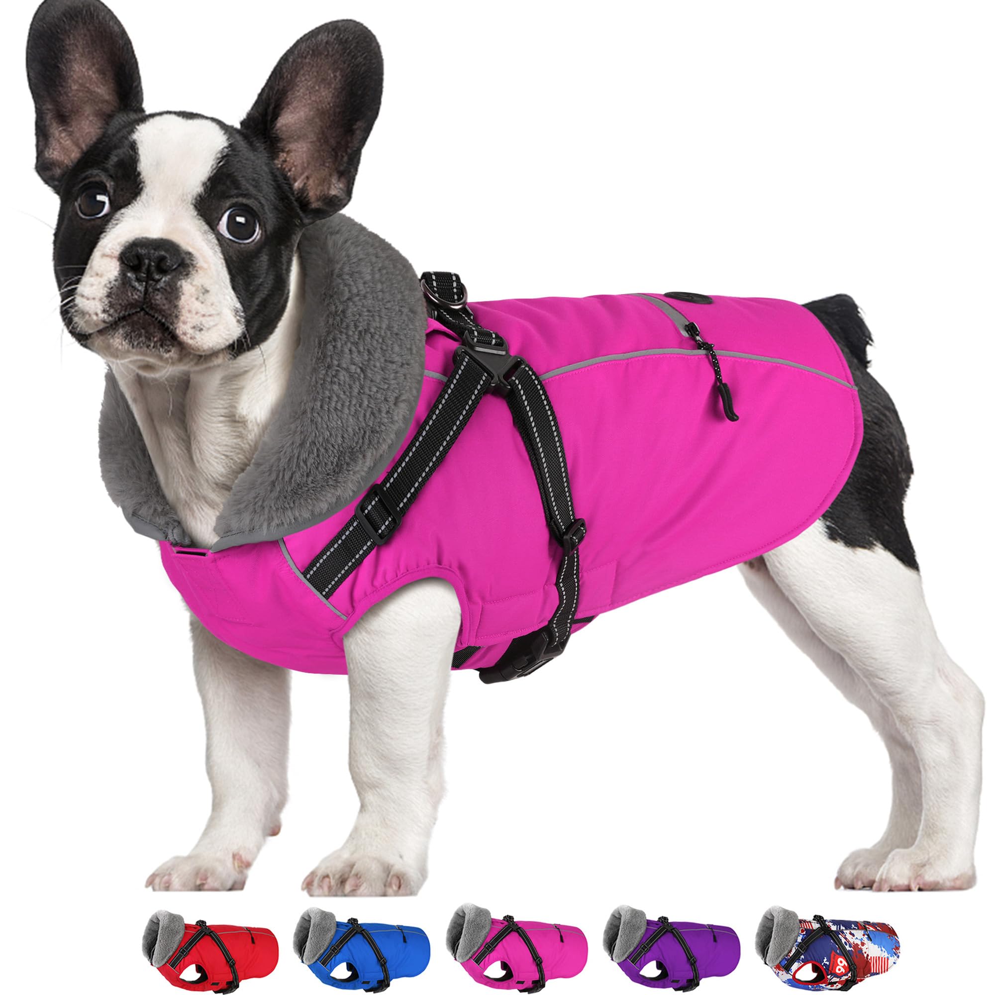 Dogcheer capa impermeable para perros, evita mojarse en la lluvia