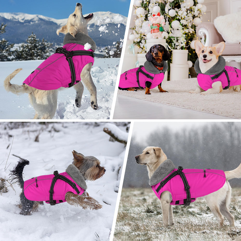 Dogcheer capa reflectiva para oscuridad, mayor visibilidad nocturna