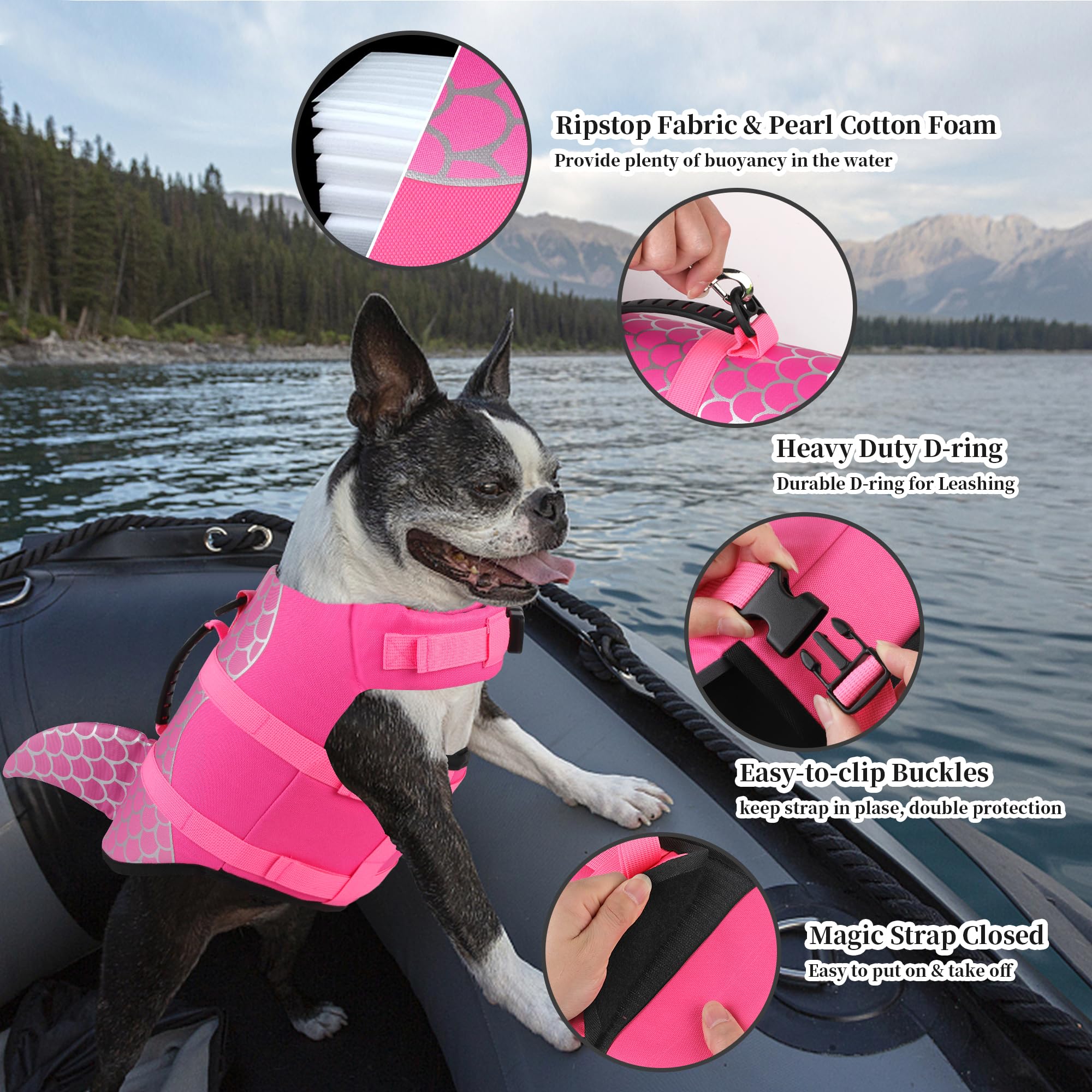 Dogcheer colores brillantes para mejor visibilidad en el agua.