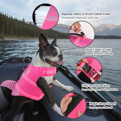 Dogcheer colores brillantes para mejor visibilidad en el agua.