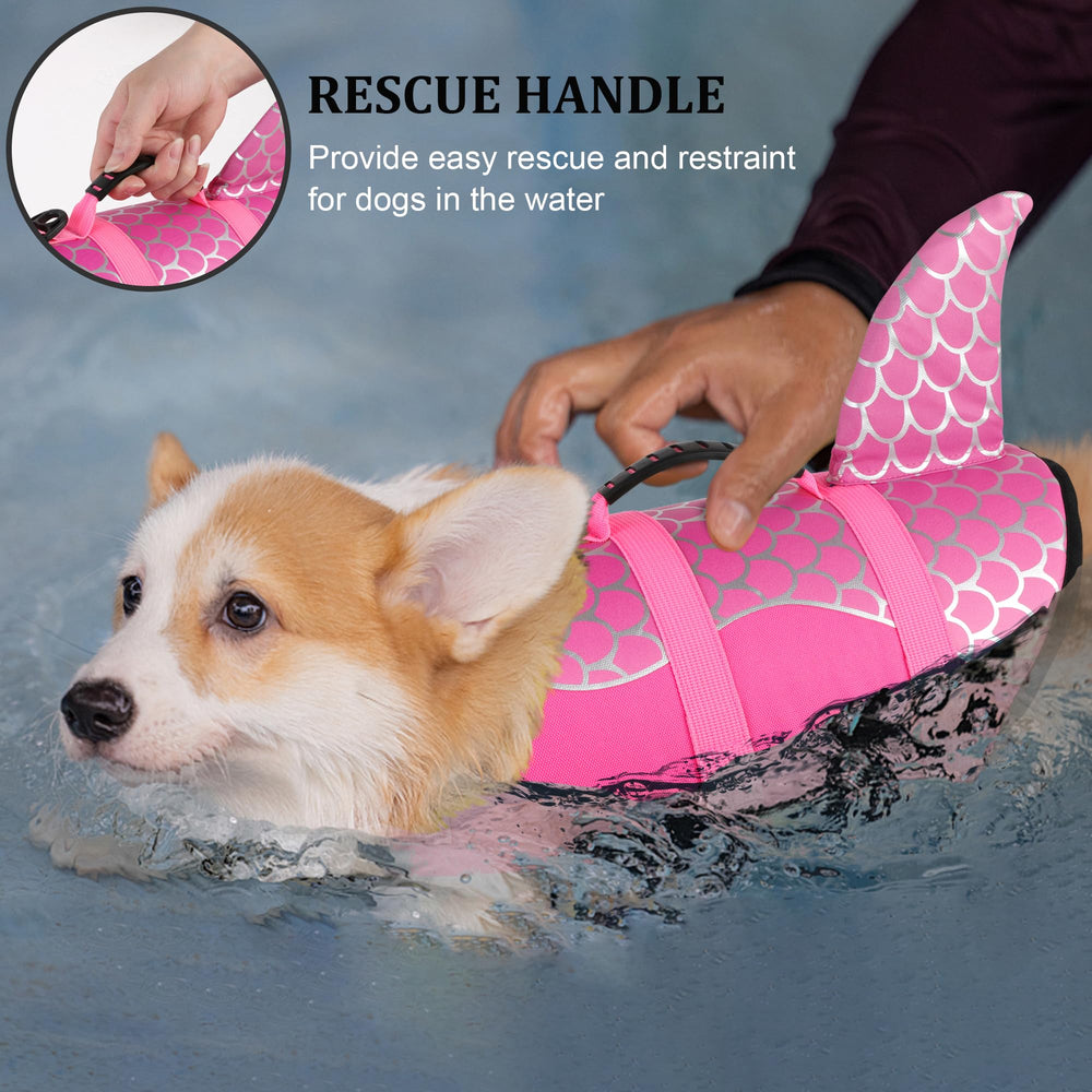 Dogcheer con asa de rescate facilita sacar al perro del agua.