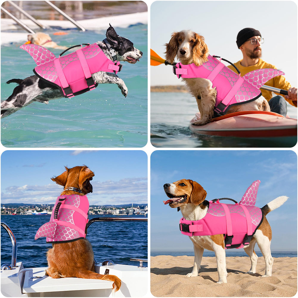 Dogcheer diseño ligero y cómodo para paseos en bote.