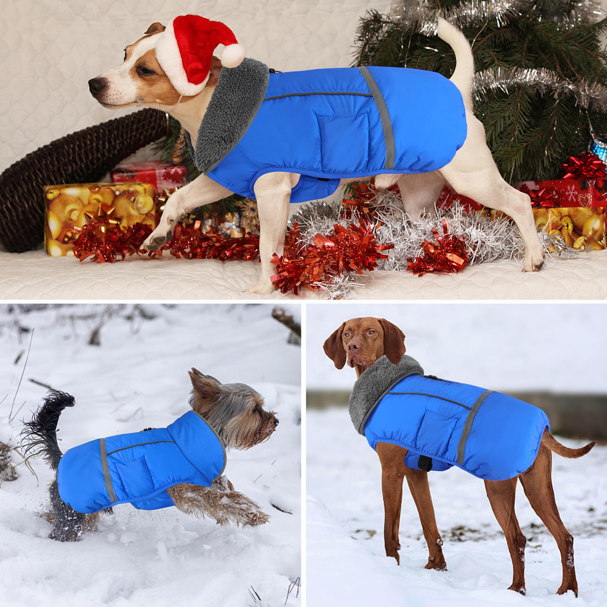 Dogcheer abrigo con hebillas ajustables para ajuste rápido