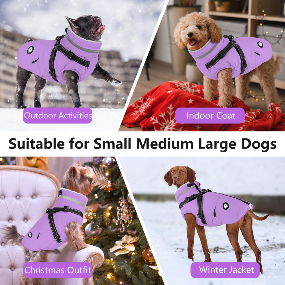 Dogcheer talla XL adecuada para perros grandes y medianos.