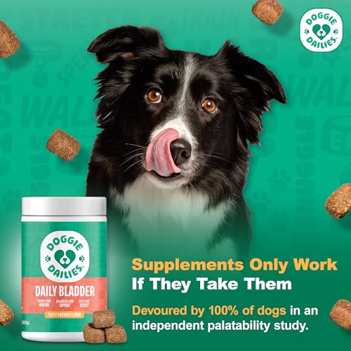 Doggie Dailies masticables sabor tocino, fáciles de administrar