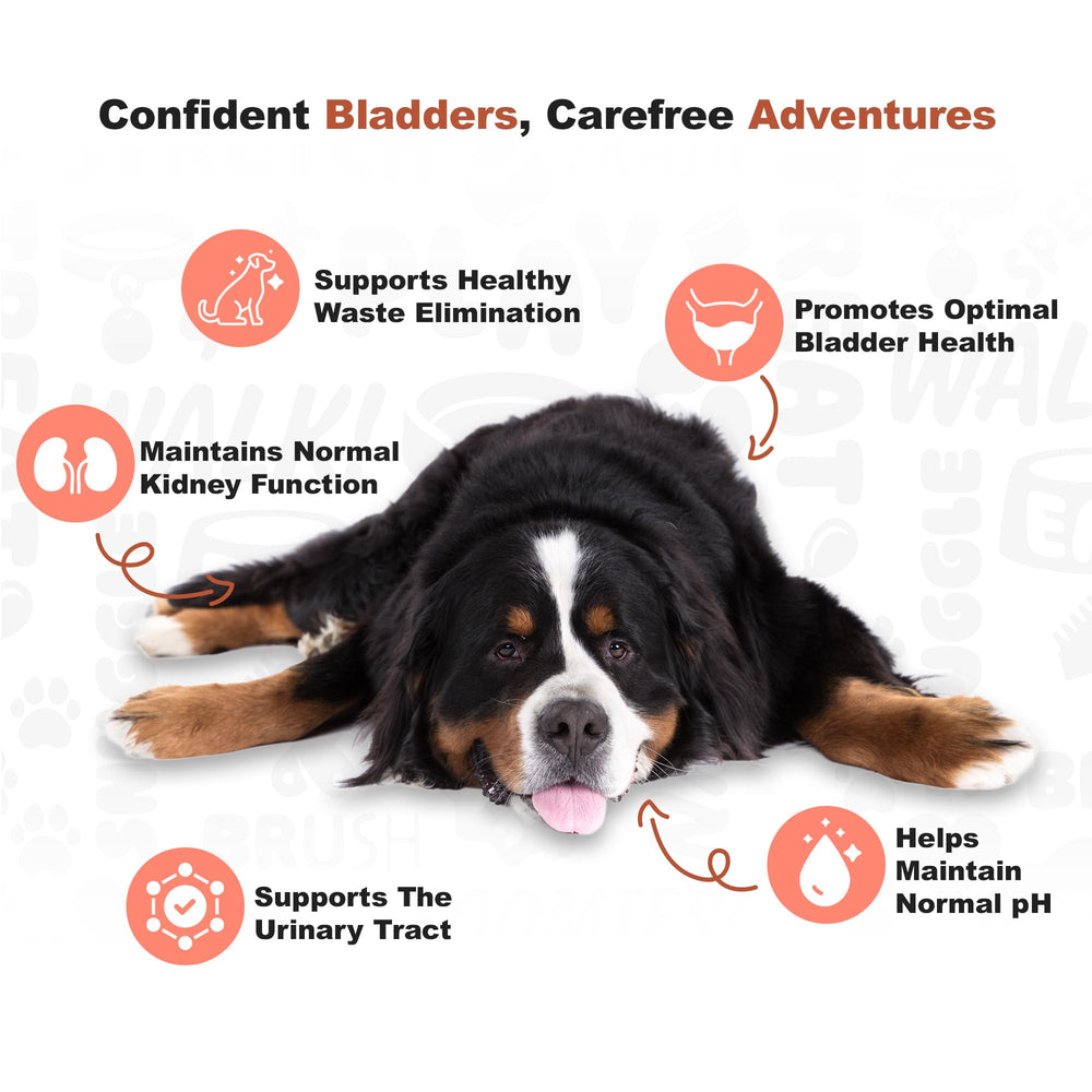 Doggie Dailies Cranberry etiqueta de ingredientes visible, destaca fuentes naturales