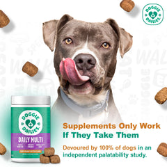Doggie Dailies gomitas para digestión suave