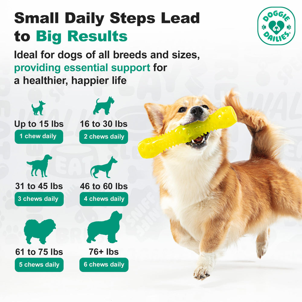 Doggie Dailies, fácil de administrar para dueños y perros