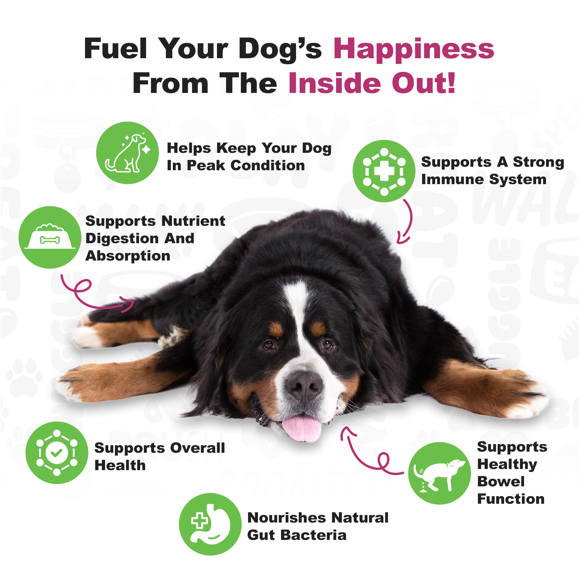Doggie Dailies Probiotics: etiqueta frontal con cepas.
