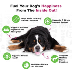 Doggie Dailies Probiotics: etiqueta frontal con cepas.