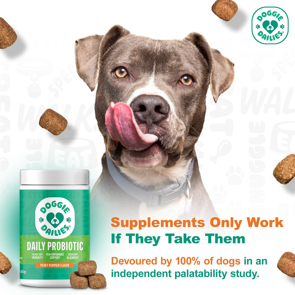 Doggie Dailies Probióticos, sabor a calabaza, apoya la digestión diaria