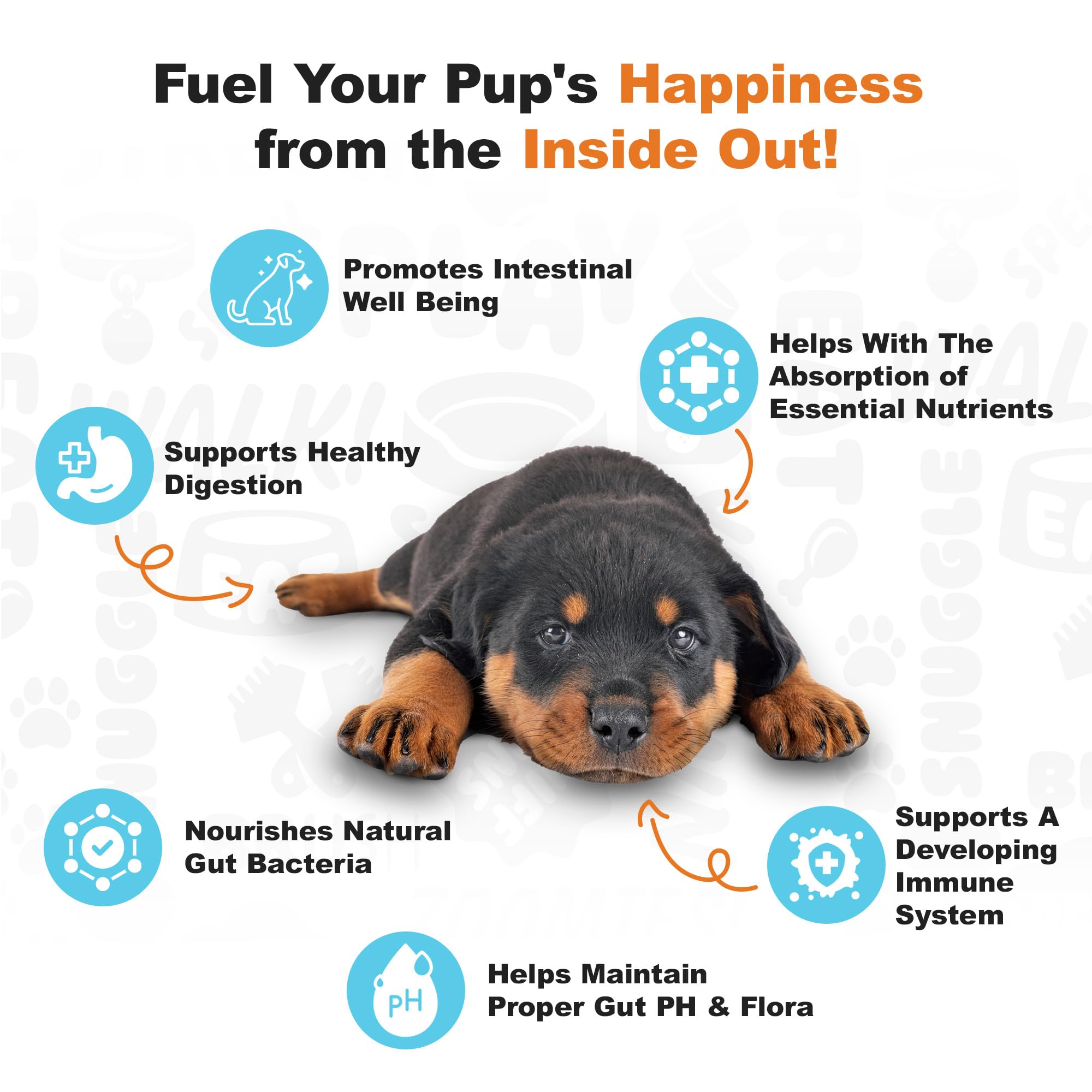 Doggie Dailies Puppy Probiotic sabor dulce: facilita la administración diaria.