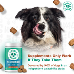 Doggie Dailies Senior Essentials, piel y pelo brillantes gracias a omega y aceite de pescado.