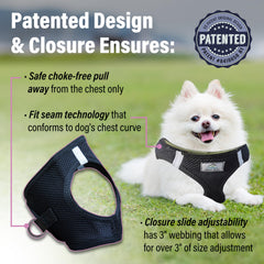 DOGGIE DESIGN American River arnés con tiras reflectantes para visibilidad nocturna