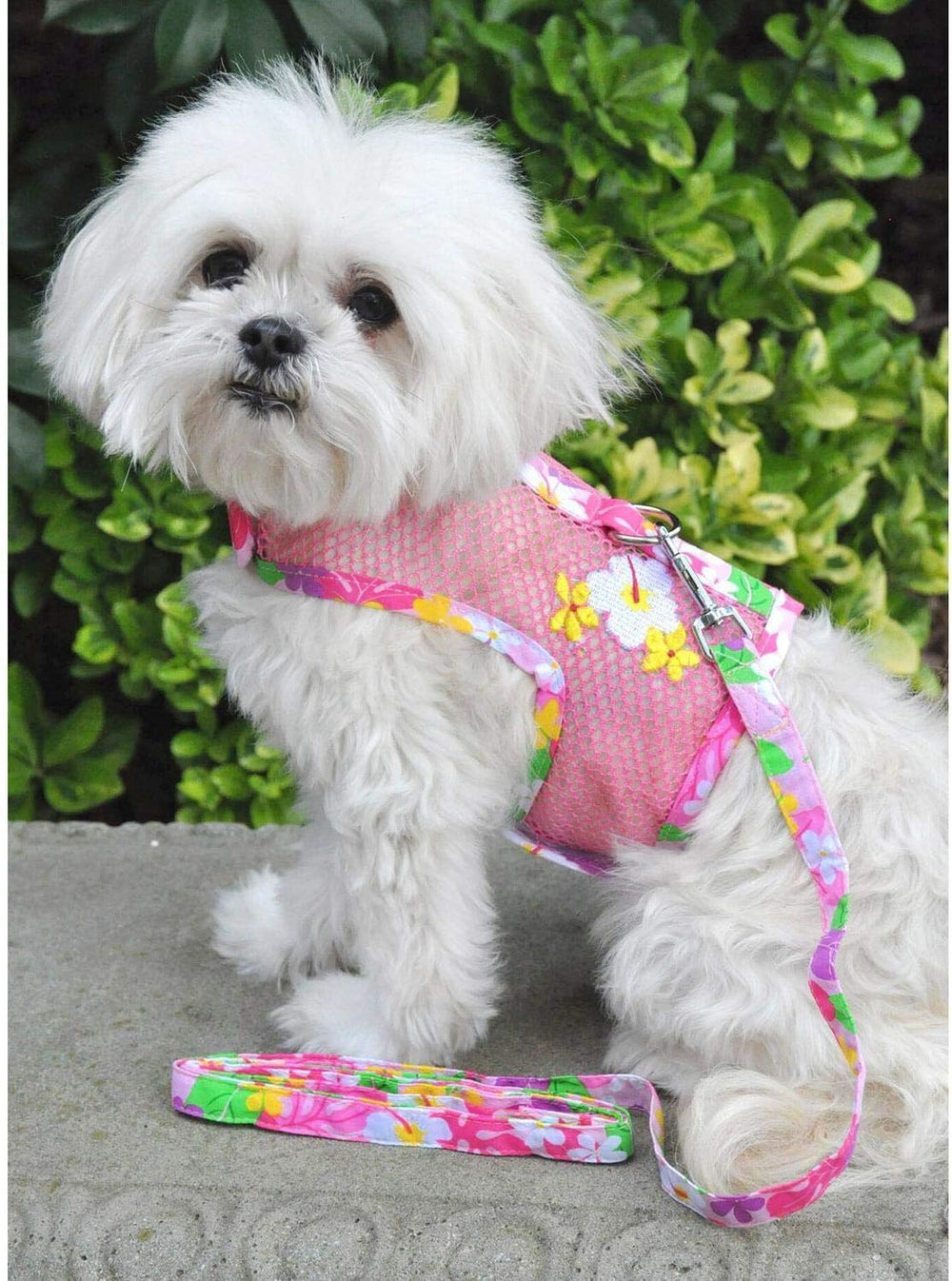 Arnés de estilo rosa floral de DOGGIE DESIGN para paseos con clase