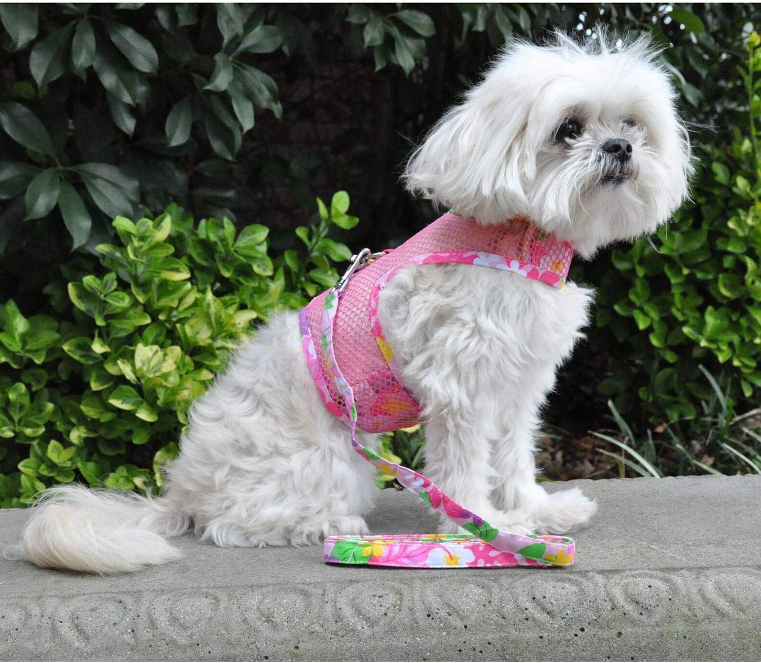 Arnés DOGGIE DESIGN de malla transpirable, ideal para climas cálidos