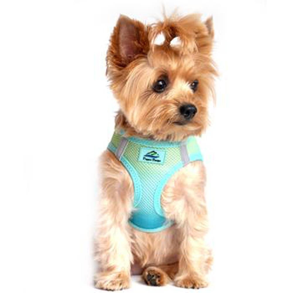 Arnés sin estrangulamiento DOGGIE DESIGN Aruba Blue, cómodo para paseos.