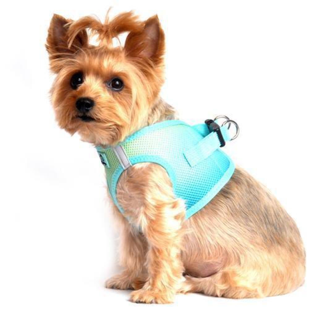DOGGIE DESIGN Aruba Blue diseño paso-in para colocar al perro