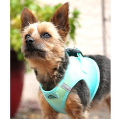 DOGGIE DESIGN Aruba Blue distribución de tirones en el pecho para mayor comodidad