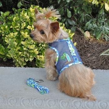 Correa coordinada de Doggie Design con el arnés malla azul-verde, ideal para paseos seguros.