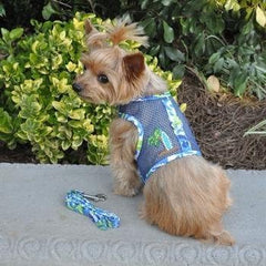 Correa coordinada de Doggie Design con el arnés malla azul-verde, ideal para paseos seguros.