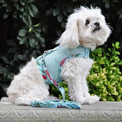 Correa a juego Doggie Design para paseos seguros y coordinados.