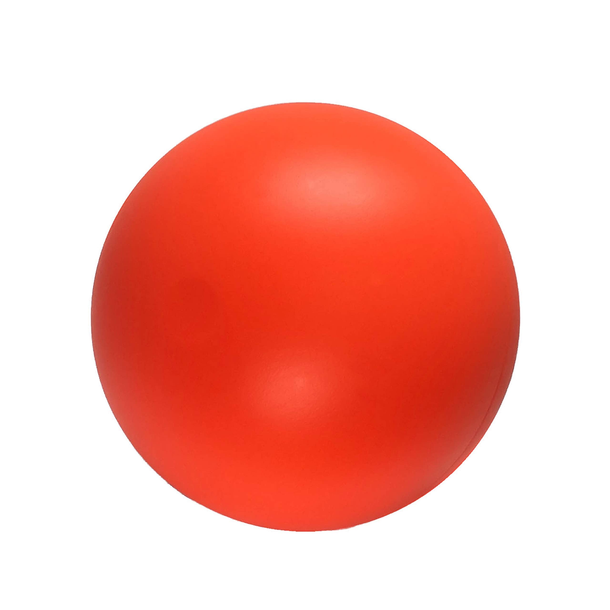 Doggie Dooley, pelota que flota, ideal para juegos de recoger en el agua.