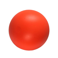 Doggie Dooley, pelota que flota, ideal para juegos de recoger en el agua.