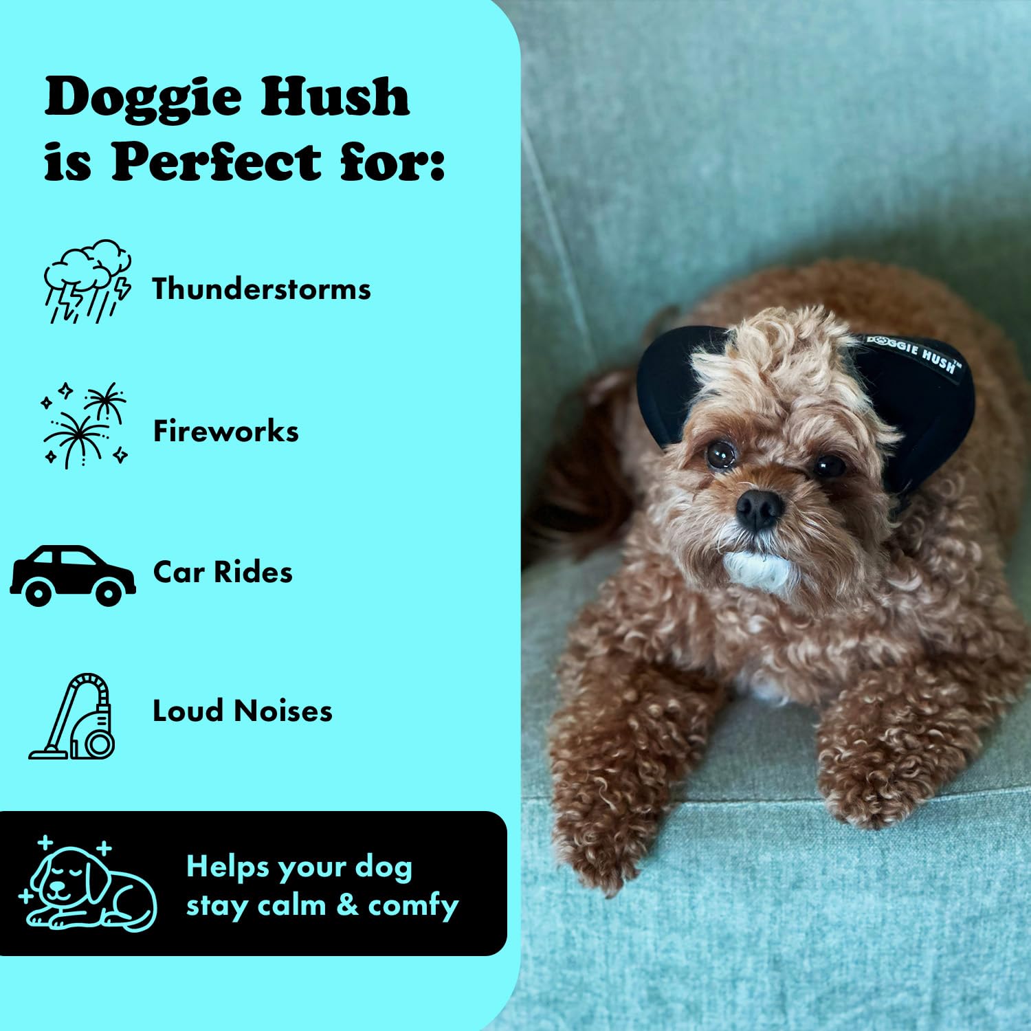 Doggie Hush: protección de ruido sin bloquear por completo el entorno.