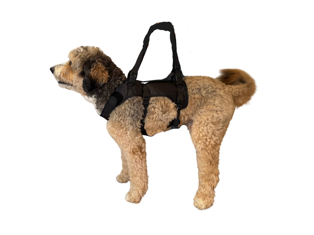 Doggie Stylz asistencia para movilidad de perros grandes en casa