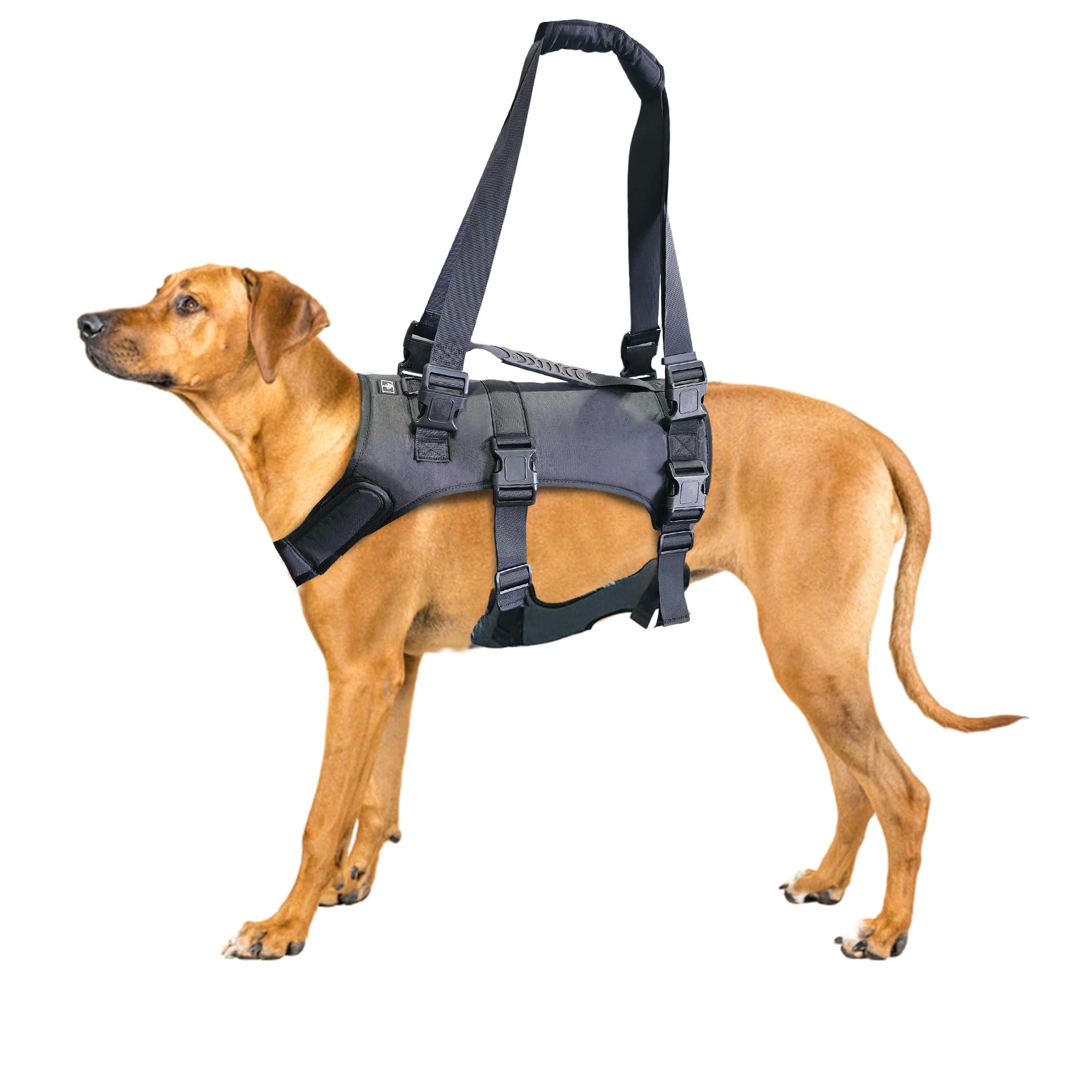 Doggie Stylz arnés-elevacion para perro grande con manijas ajustables facilita subir escaleras