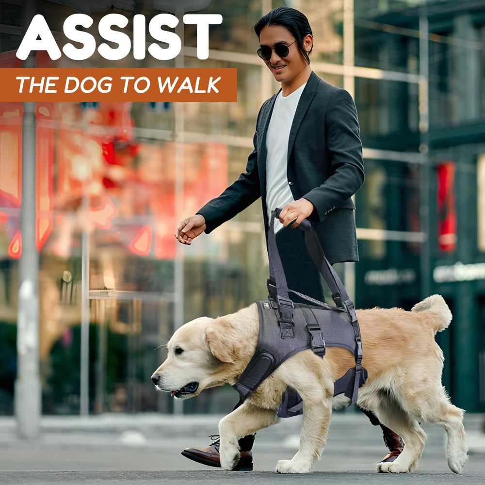 Doggie Stylz arnés para subir al coche y paseos sin esfuerzo