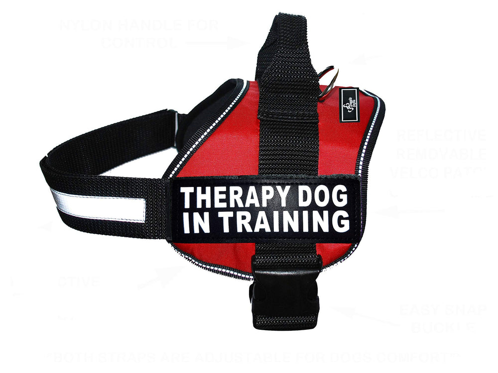 Doggie Stylz arnés terapia para perros en entrenamiento, cómodo y ajustable.