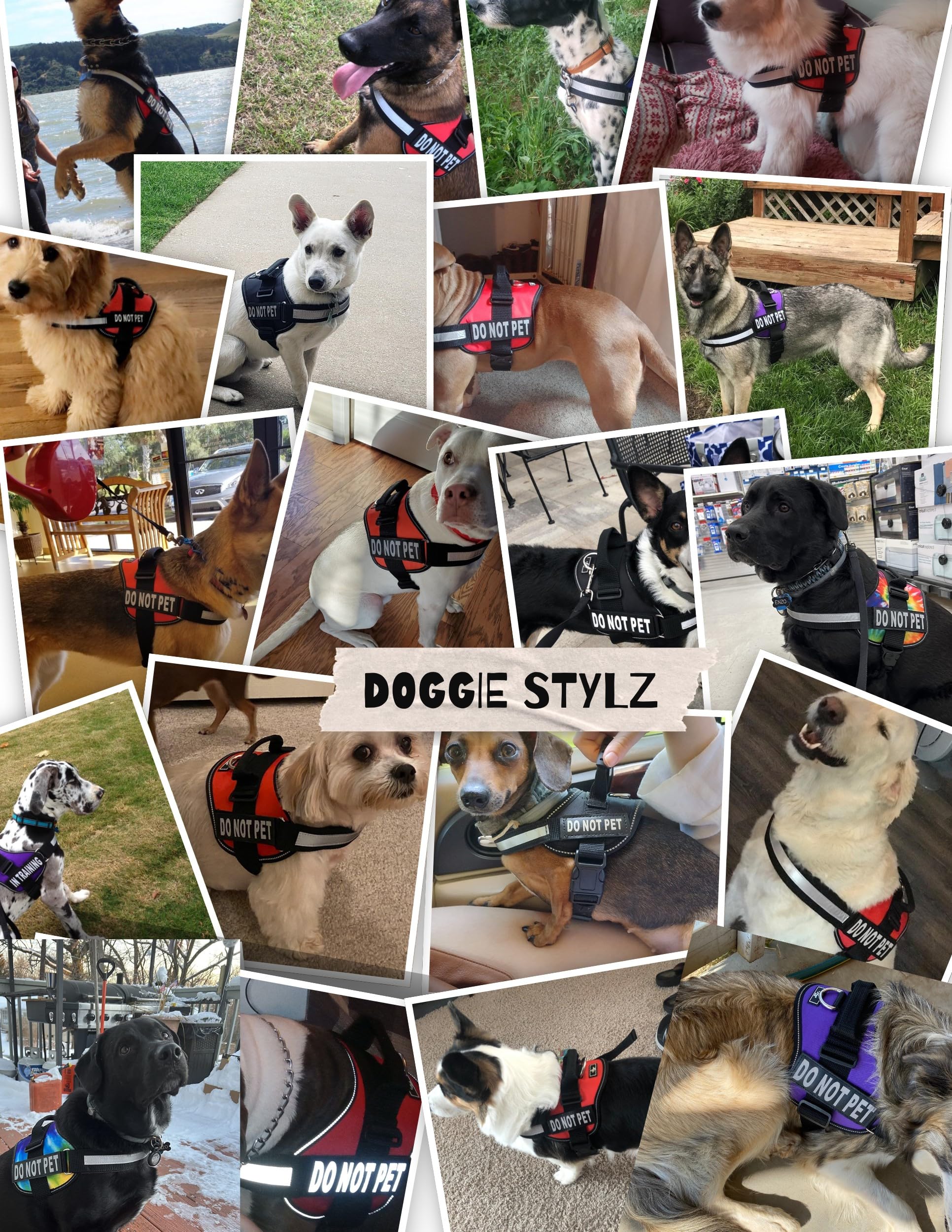 Doggie Stylz comodidad-duradera; arnés robusto para perros grandes y activos.