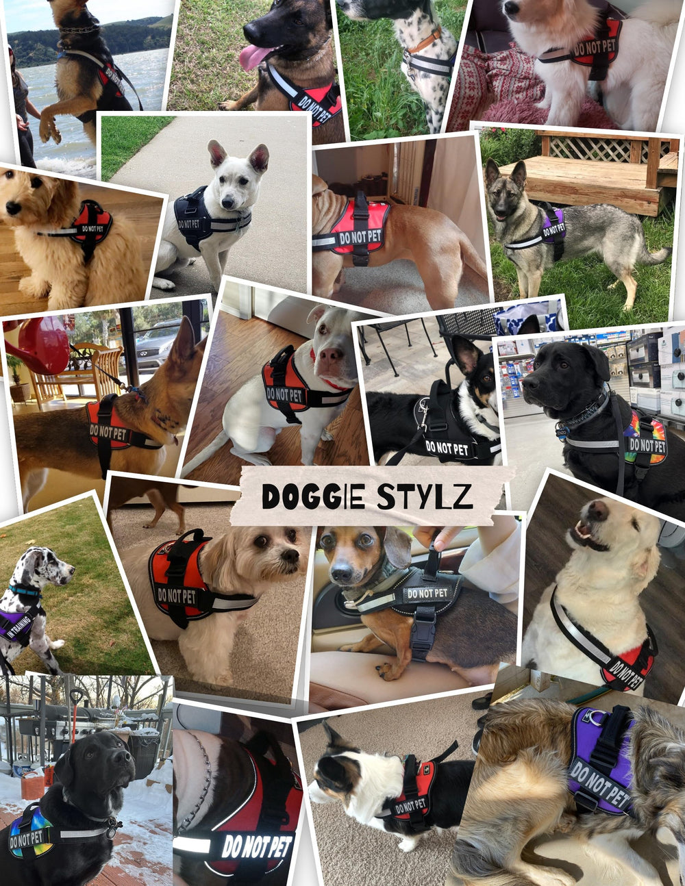 Doggie Stylz comodidad-duradera; arnés robusto para perros grandes y activos.