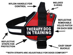 Parches reflectantes de Doggie Stylz para mayor visibilidad durante entrenamiento.